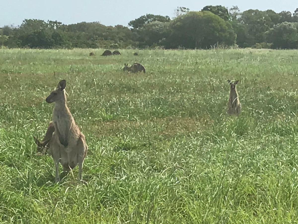 Hervey Bay Colonial Lodge Torquay Luaran gambar