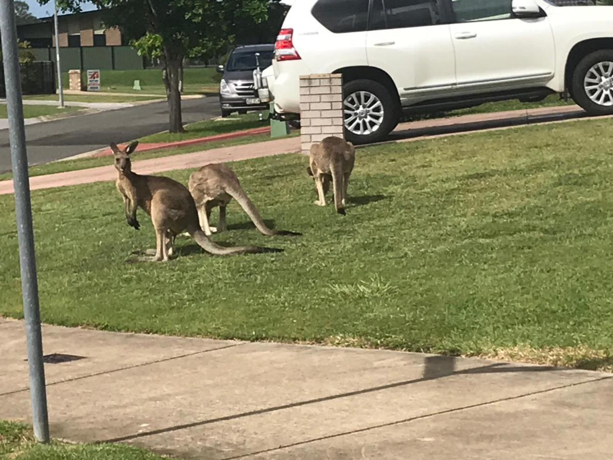 Hervey Bay Colonial Lodge Torquay Luaran gambar